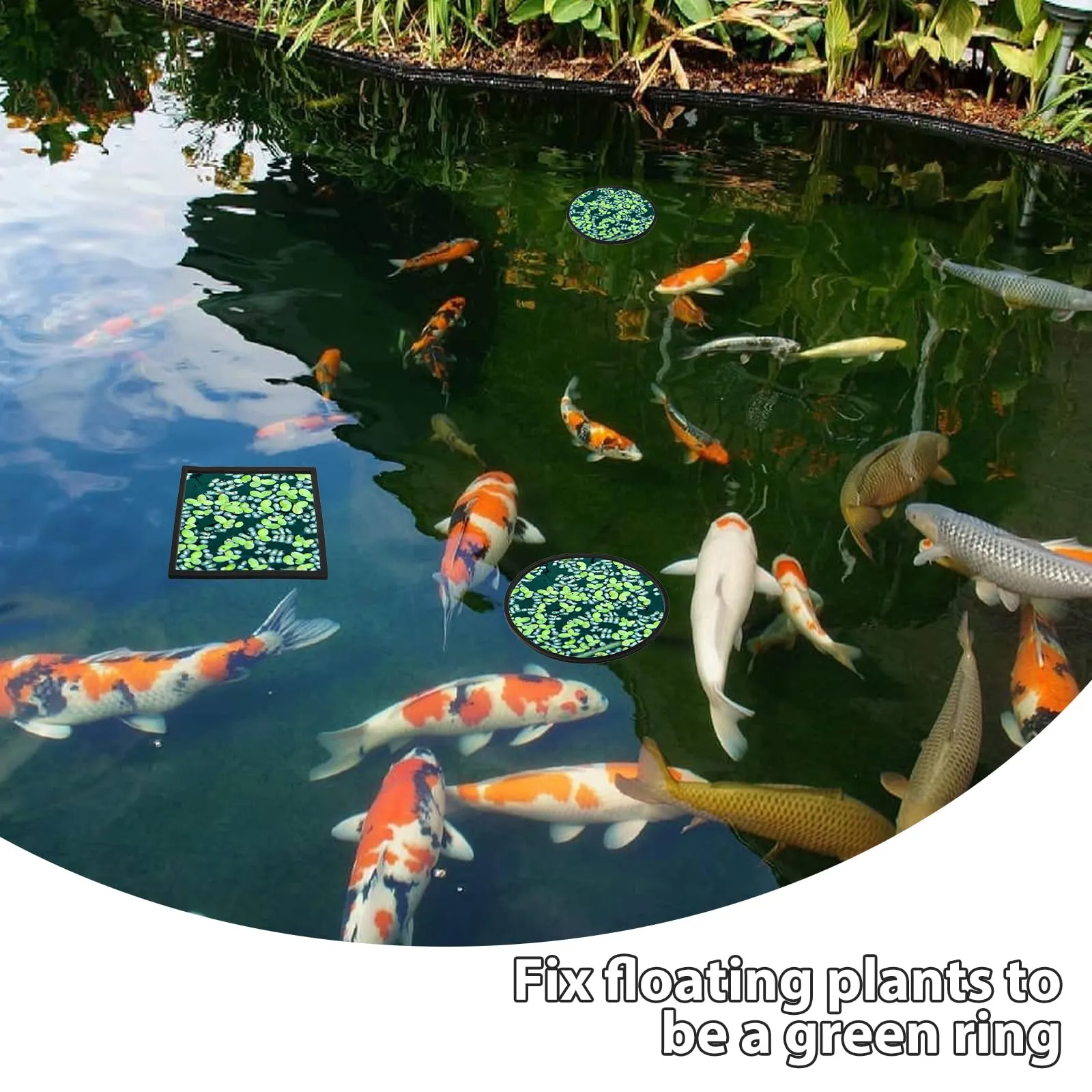 10 PCS Fish Feeding Rings, Aquarium Floating Plant Corral Round & Square Aquarium Plant Holder Fish Toys Turtle Betta Fish Tank Accessories Reduces Automatic Fish Feeder Waste, Maintains Water Quality