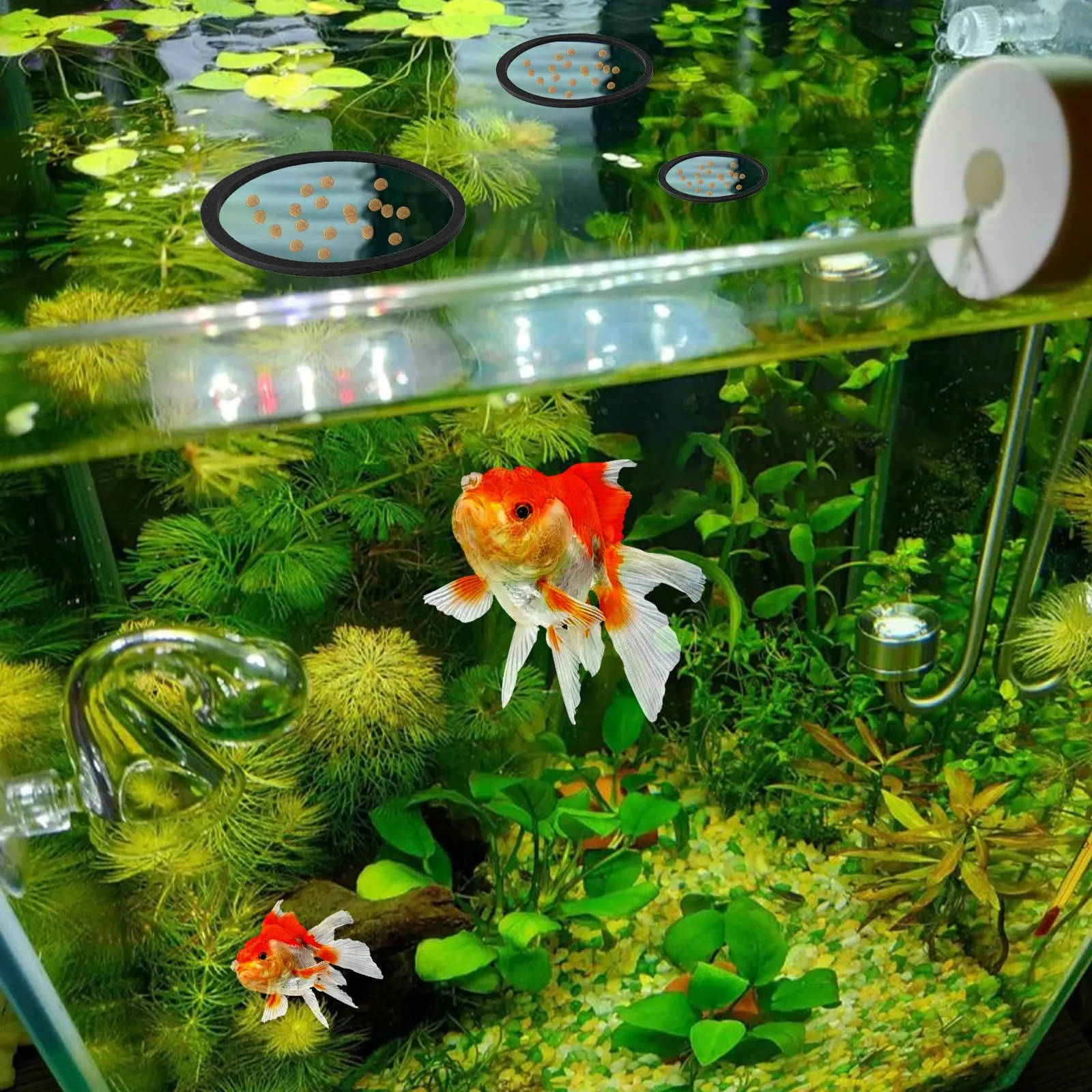 10 PCS Fish Feeding Rings, Aquarium Floating Plant Corral Round & Square Aquarium Plant Holder Fish Toys Turtle Betta Fish Tank Accessories Reduces Automatic Fish Feeder Waste, Maintains Water Quality