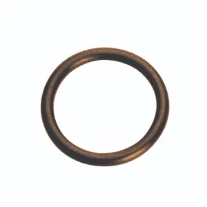Champion 3/4in (I.D.) x 1/8in Imperial Viton O-Ring -10pk