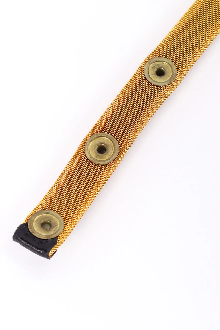 Lion Face Chain Drop Belt
