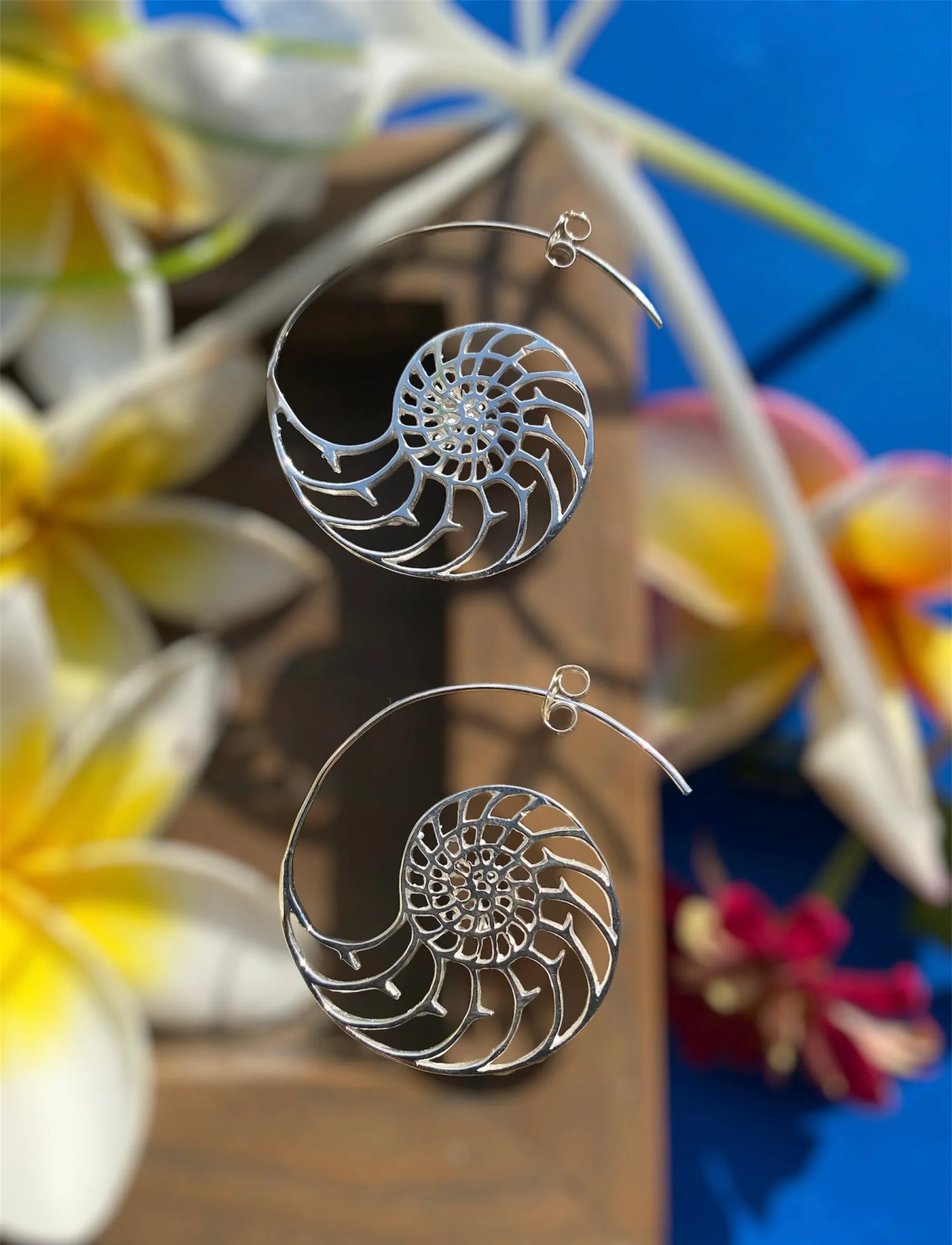 Nautilus Spiral Sterling Silver Earrings
