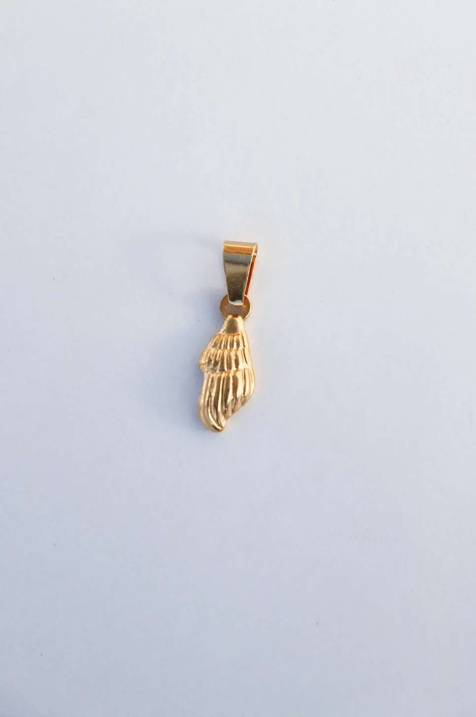Special shell charm